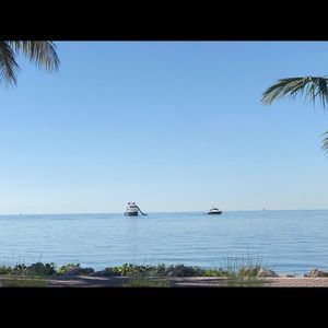 Meet your Posher, Jose